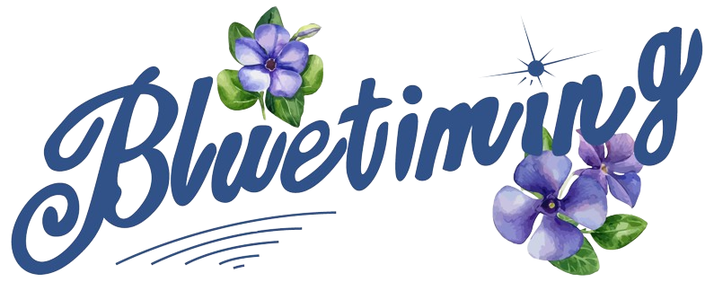 20250416175140 0 20250402185329 0 20250402184824 1 Bluetiming AS revamp 01 1 removebg preview